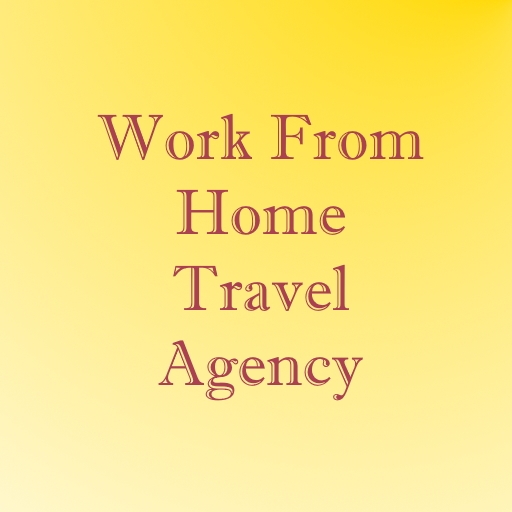 be a home based travel agent