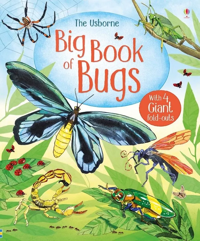 Usborne Big Book Range